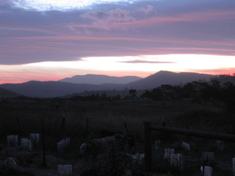 Taras Richmond Farmstay - Accommodation Australia 22