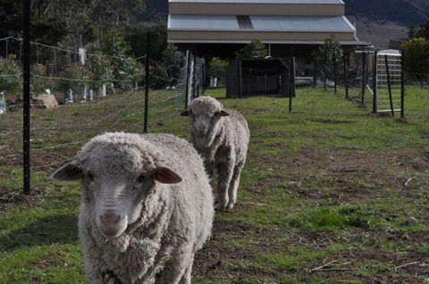 Taras Richmond Farmstay - Accommodation Australia 14