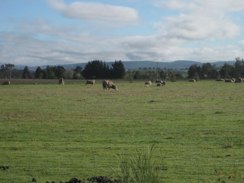 Taras Richmond Farmstay - Accommodation Australia 13