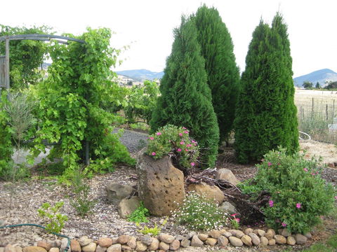 Taras Richmond Farmstay - Accommodation Australia 23