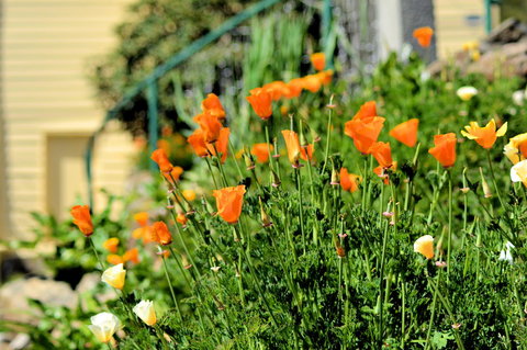 St. Pauls Bed & Breakfast - Australia Shopping 44