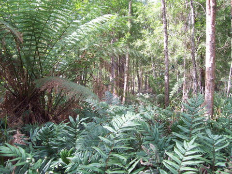 St. Pauls Bed & Breakfast - Australia Shopping 15