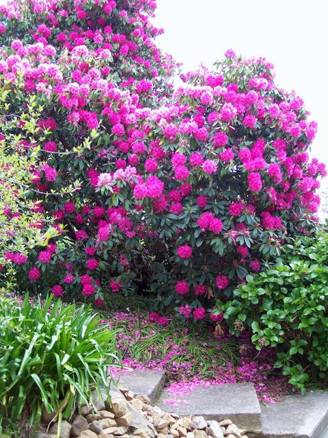 St. Pauls Bed & Breakfast - Australia Shopping 2