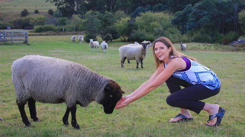 Ashdowns Of Dover - Accommodation Australia 26