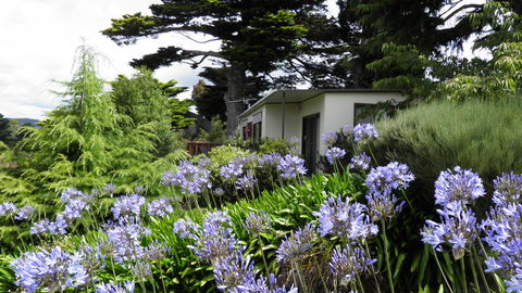 Tamar River Retreat - Accommodation Australia 28