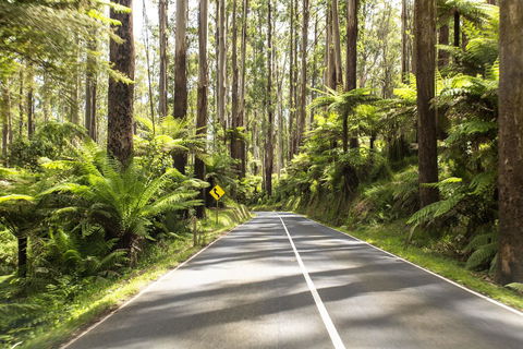 Peppers Marysville - Accommodation Australia 21
