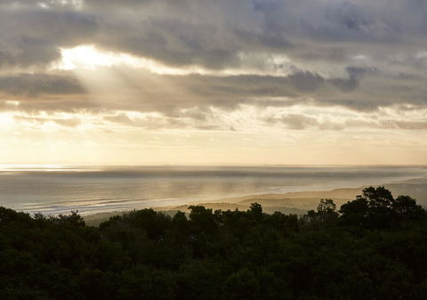 RACV Cape Schanck Resort - Accommodation Australia 6