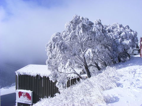 Arlberg Hotham - Accommodation Australia 15