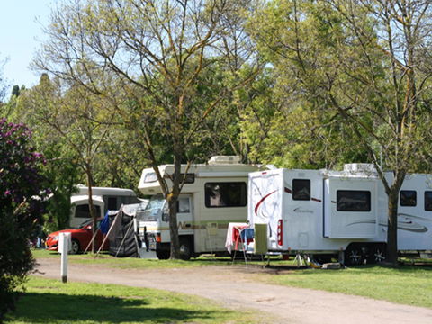 Tasman Holiday Parks - Geelong - Accommodation Australia 21