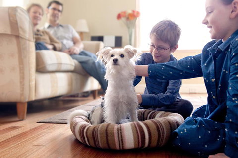 Boutique Stays Sandyside- Sandringham Villa Units - Accommodation Australia 6