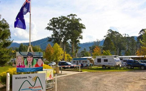 Marysville Caravan And Holiday Park - Accommodation Australia 34
