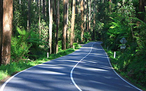 Marysville Caravan And Holiday Park - Accommodation Australia 40