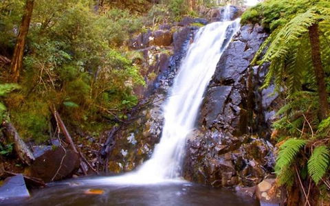 Marysville Caravan And Holiday Park - Accommodation Australia 32