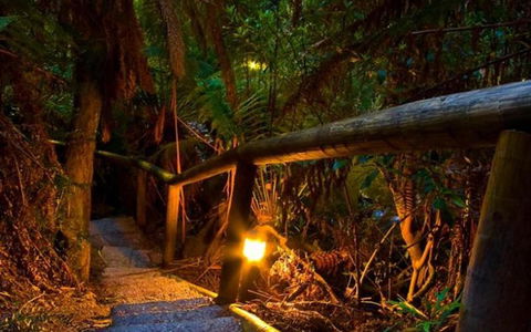 Marysville Caravan And Holiday Park - Accommodation Australia 27