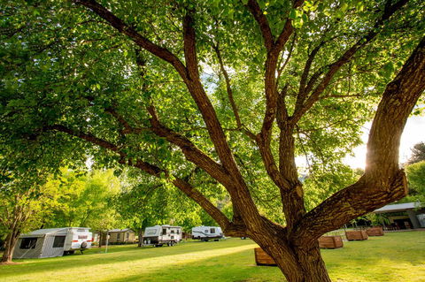 Discovery Parks - Bright - Accommodation Australia 31