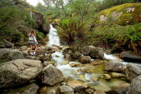 Discovery Parks - Bright - Accommodation Australia 21