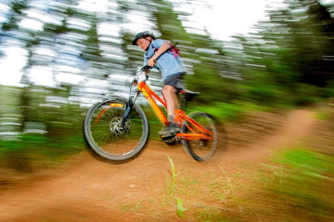 Discovery Parks - Bright - Accommodation Australia 24