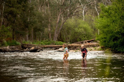 Discovery Parks - Bright - Accommodation Australia 20