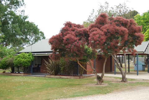 Greenvale Holiday Units - Accommodation Australia 9