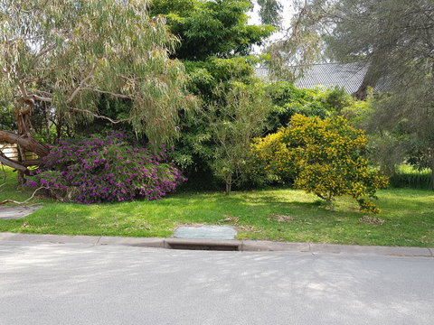 Dromana Holiday Beach House - Local Tourism 13