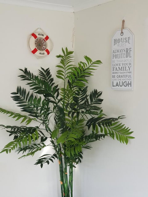 Dromana Holiday Beach House - Local Tourism 4