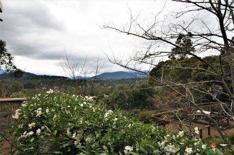 Hamptons In Healesville - Accommodation Australia 13