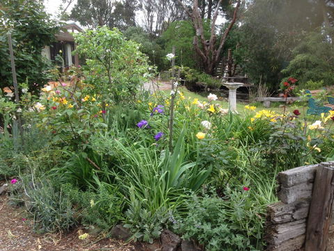 Mud Hollow Barn - Local Tourism 15