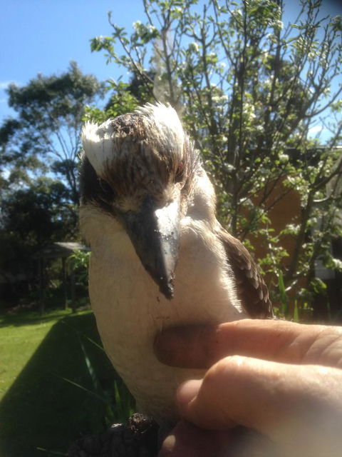 Mud Hollow Barn - Local Tourism 8