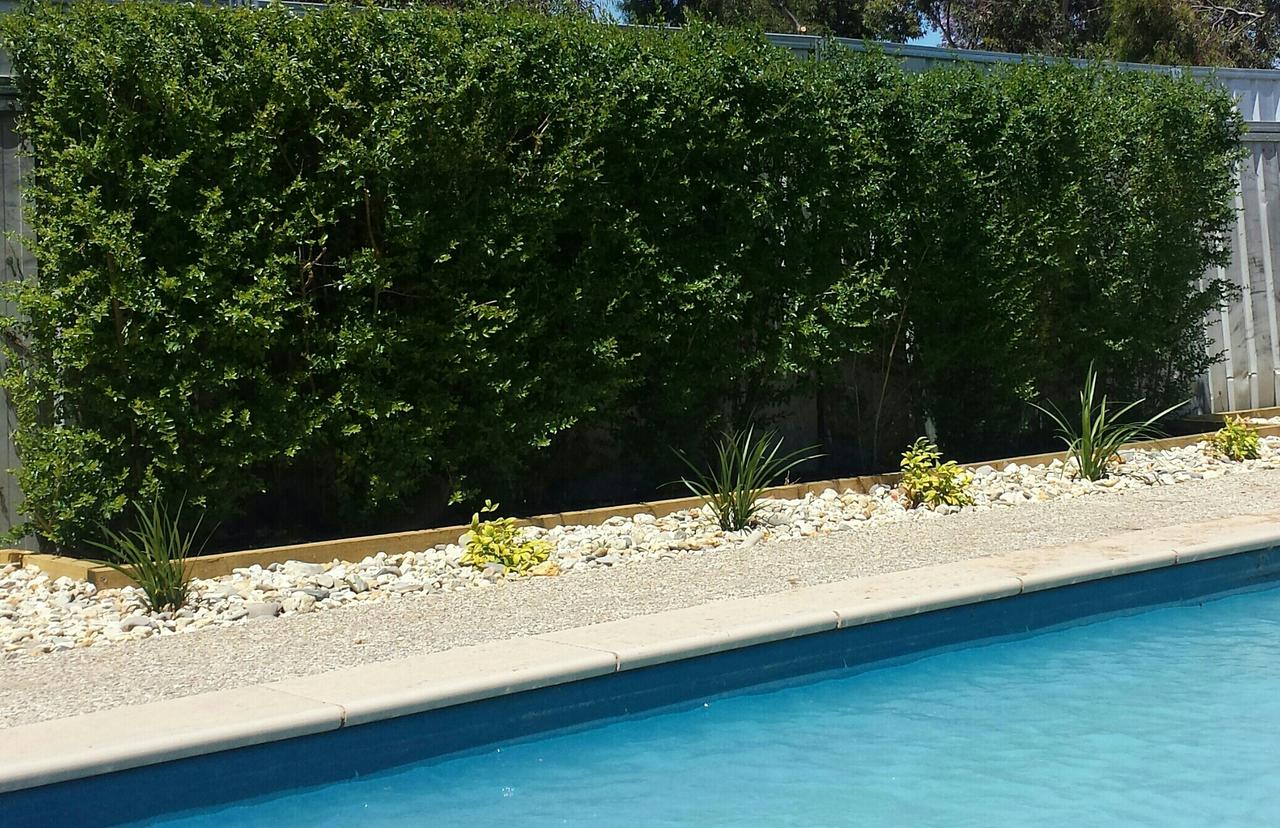 Robinvale Irrigation District Section D VIC Australia Shopping