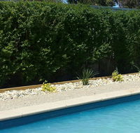 Robinvale Bridge Motel - Bed n Breakfasts