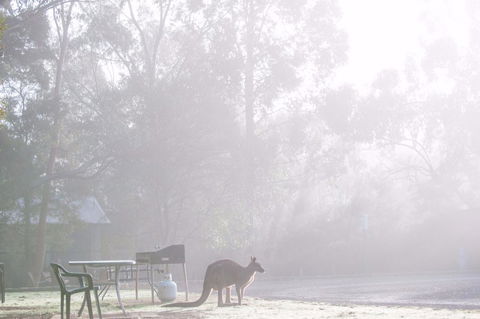 Gariwerd Motel - Accommodation Australia 18