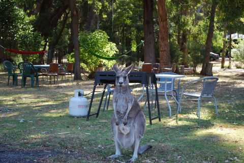 Gariwerd Motel - Accommodation Australia 26