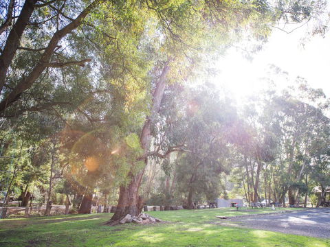 Gariwerd Motel - Accommodation Australia 7