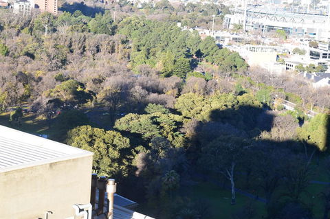 Executive Stay Little Collins Street - Local Tourism 24