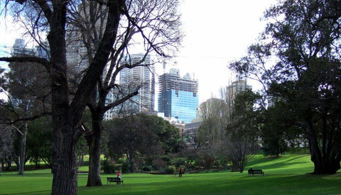Executive Stay Little Collins Street - Local Tourism 18