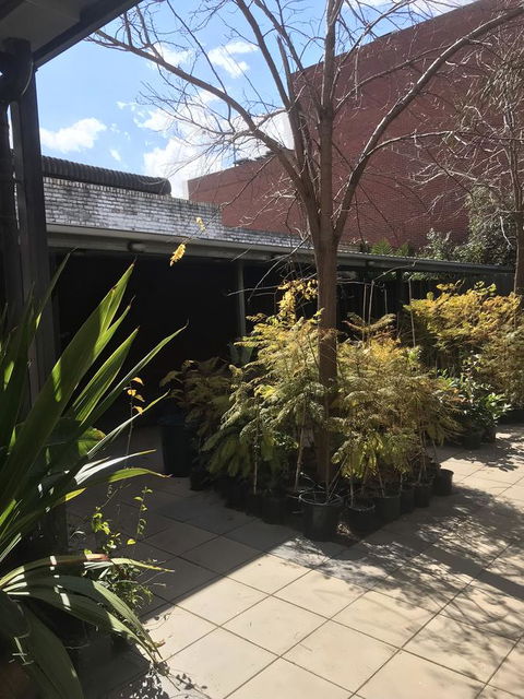 CROWN CENTRAL BUSINESS DISTRICT MOTEL - NO UNDER 18s - Accommodation Australia 15