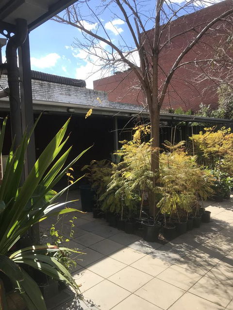CROWN CENTRAL BUSINESS DISTRICT MOTEL - NO UNDER 18s - Accommodation Australia 21