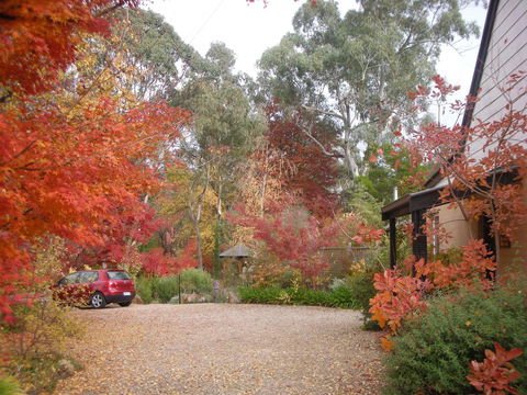 Merrimeet Cottages - Accommodation Australia 5