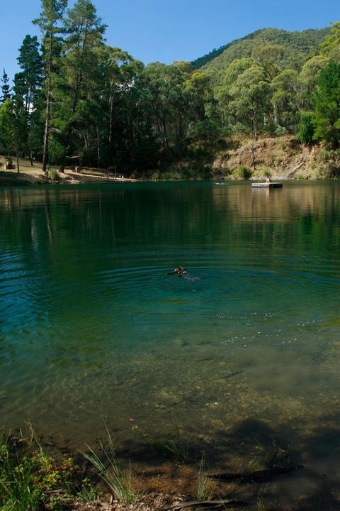 The Harrietville Snowline Hotel - Accommodation Australia 38