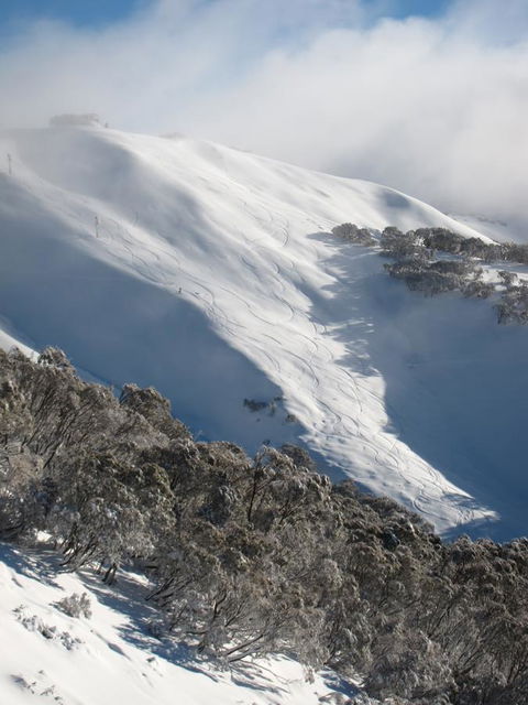 The Harrietville Snowline Hotel - Accommodation Australia 29
