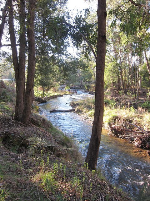 The Harrietville Snowline Hotel - Accommodation Australia 35