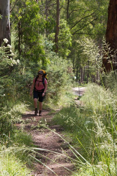 The Harrietville Snowline Hotel - Accommodation Australia 11