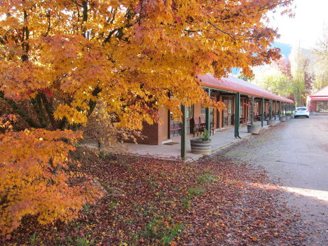 The Harrietville Snowline Hotel - Accommodation Australia 21