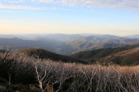The Harrietville Snowline Hotel - Accommodation Australia 36