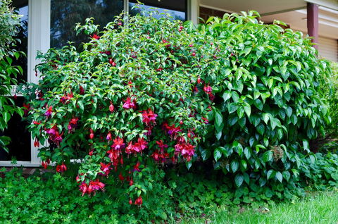 Crimea Retreat - Accommodation Australia 18