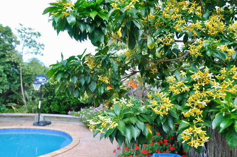 Crimea Retreat - Accommodation Australia 20
