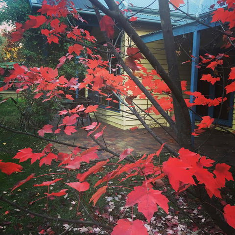 The Orchard House - Accommodation Australia 27