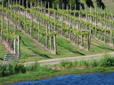 De\'Vine Escape - Accommodation Australia 13