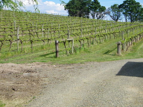 De\'Vine Escape - Accommodation Australia 23