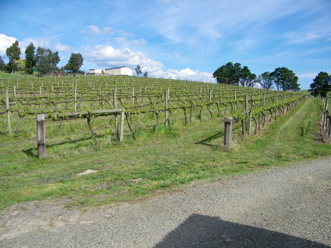 De\'Vine Escape - Accommodation Australia 30